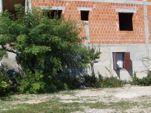 Kuća Br. 38